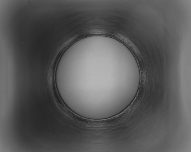 X0000101950533200807180704