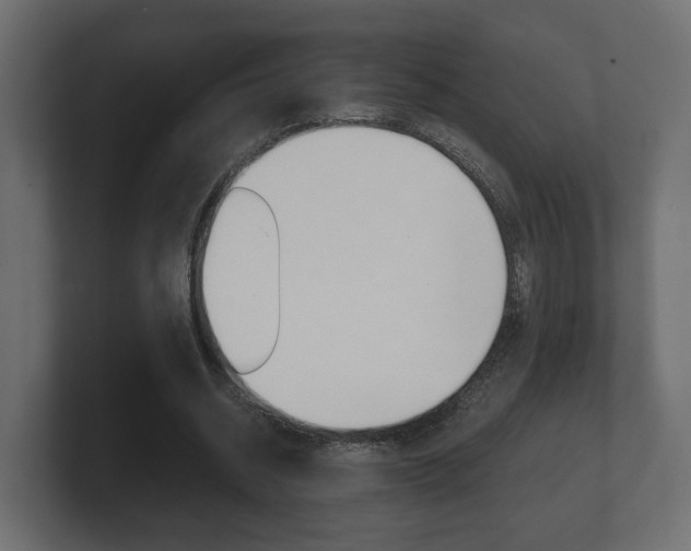 X0000101950534200807180704