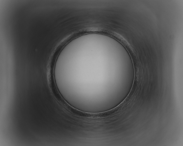 X0000101950535200807180704