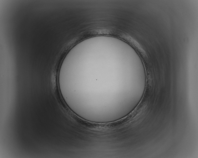 X0000101950537200807180704