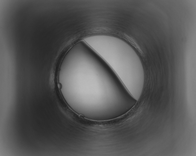 X0000101950538200807180704