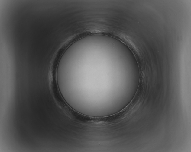 X0000101950539200807180704