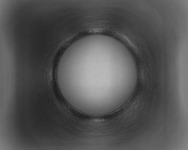 X0000101950543200807180704