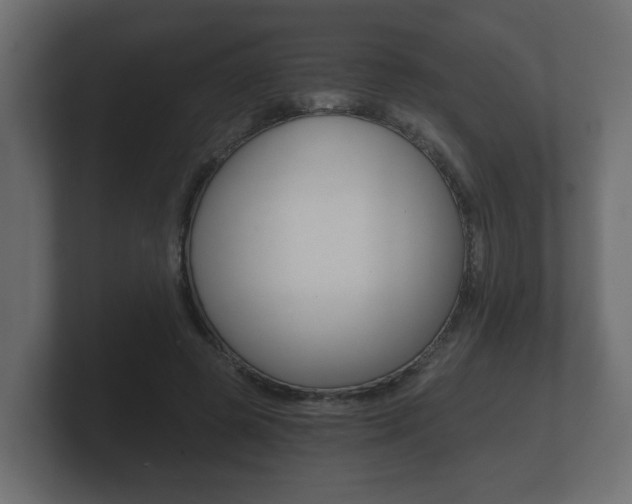 X0000101950545200807180705