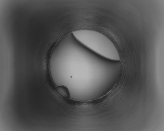 X0000101950546200807180705