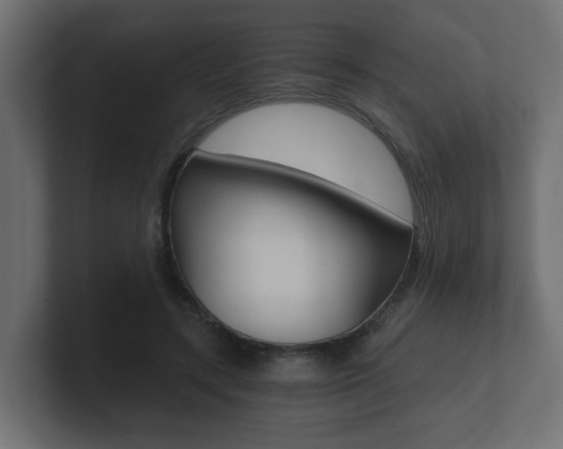 X0000101950547200807180705