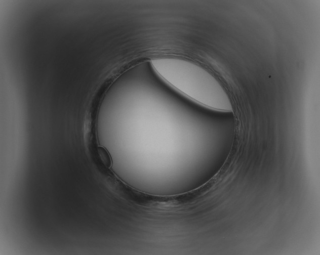 X0000101950548200807180705