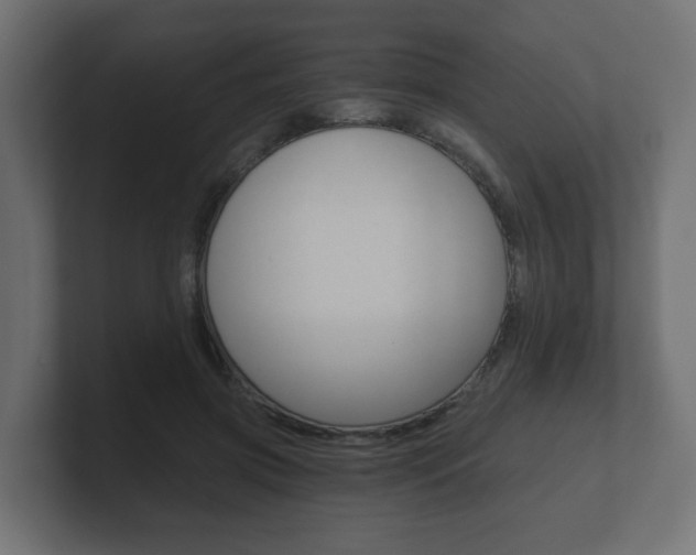 X0000101950549200807180705