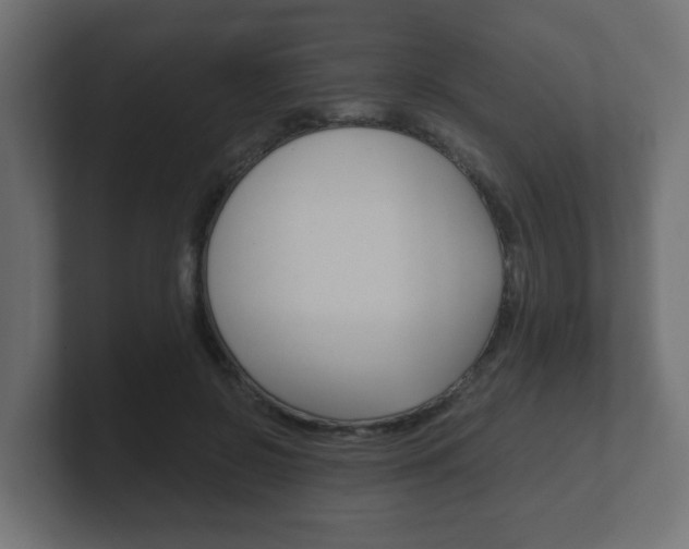 X0000101950550200807180705