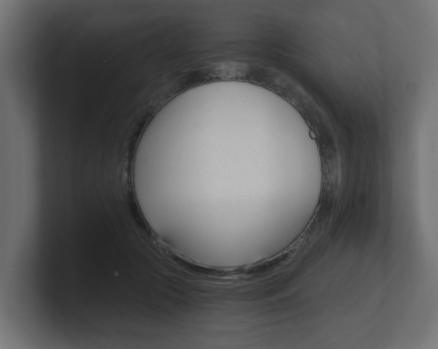 X0000101950553200807180705