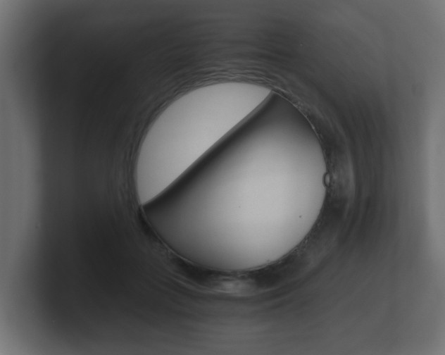 X0000101950555200807180705