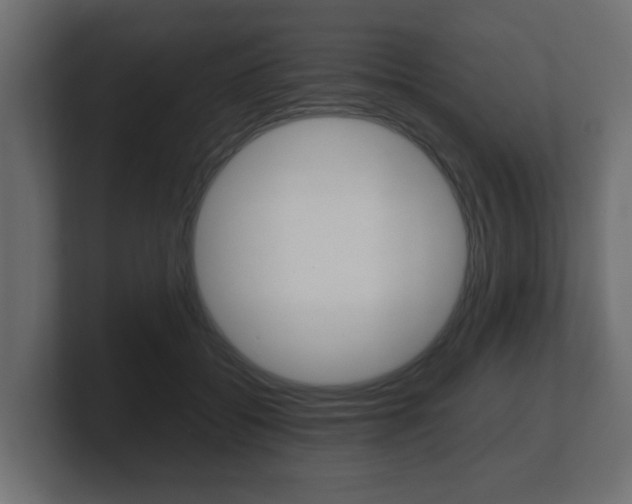 X0000101950556200807180705