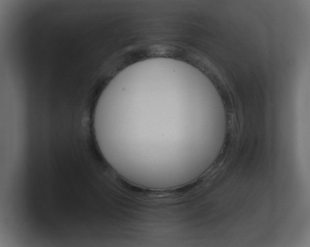 X0000101950557200807180705