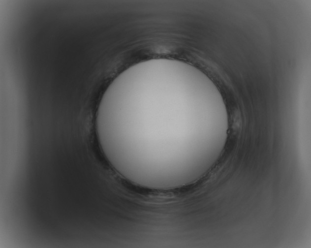 X0000101950559200807180705