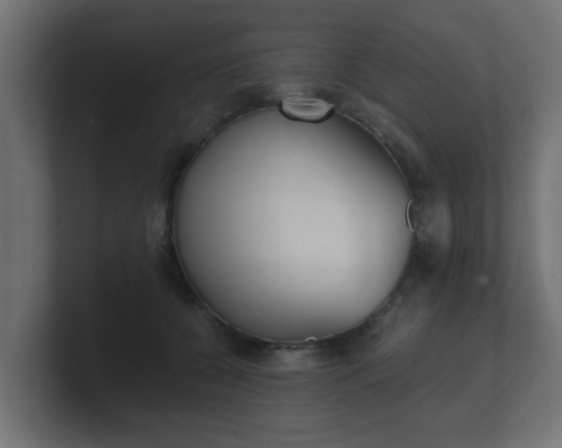 X0000101950560200807180705