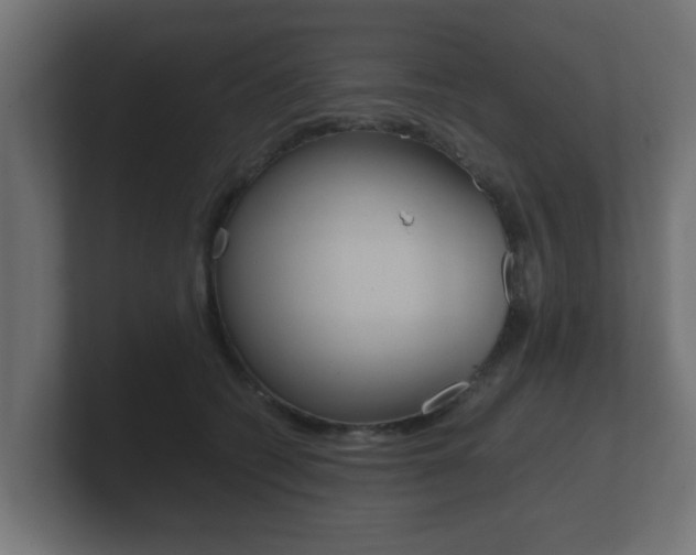 X0000101950562200807180705