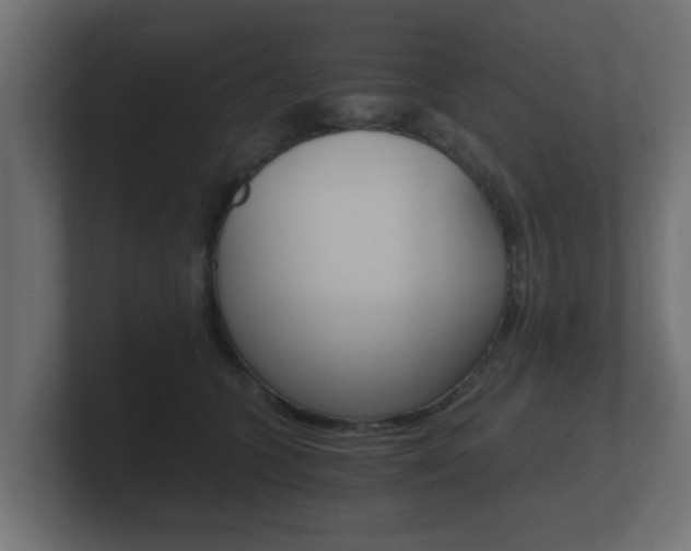 X0000101950563200807180705