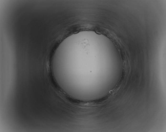 X0000101950564200807180705