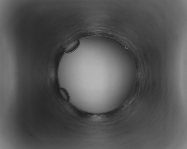 X0000101950566200807180705