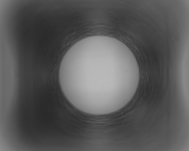 X0000101950568200807180705