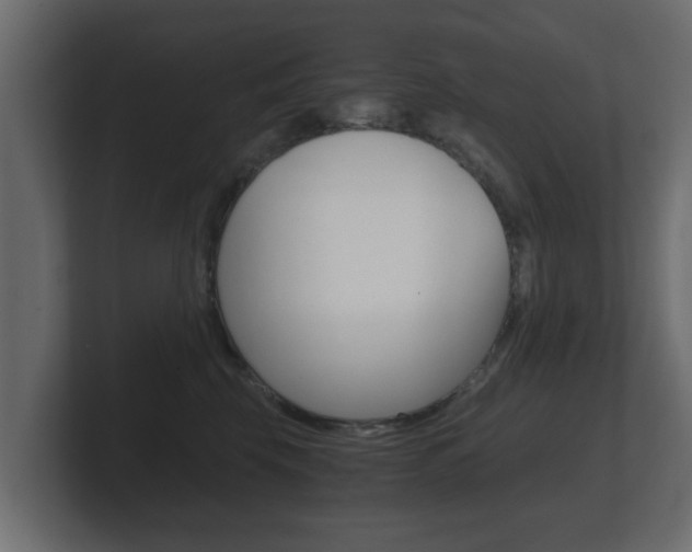 X0000101950569200807180705