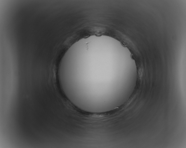 X0000101950570200807180705