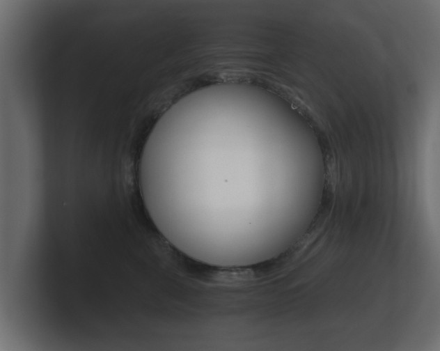 X0000101950571200807180705