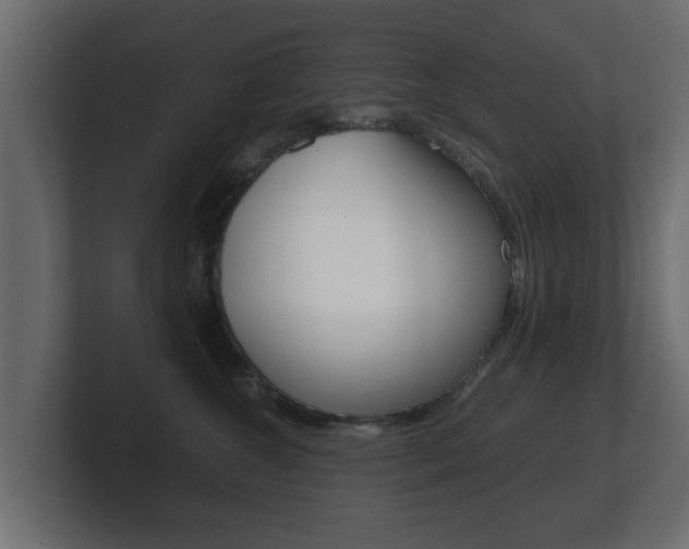 X0000101950572200807180705