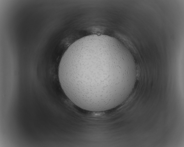 X0000101950573200807180705