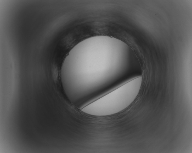 X0000101950574200807180705