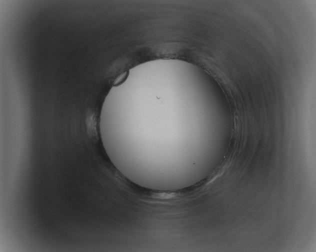 X0000101950575200807180705