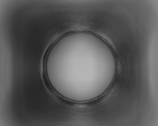 X0000101950582200807180704