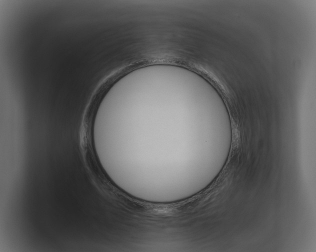 X0000101950583200807180704