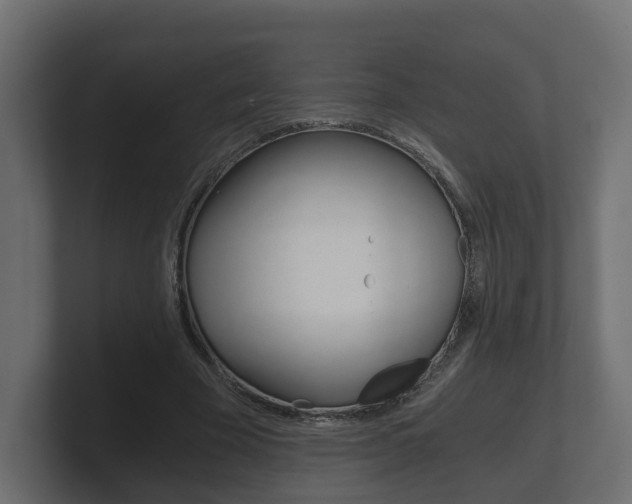 X0000101950585200807180704