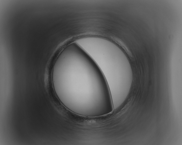 X0000101950588200807180704