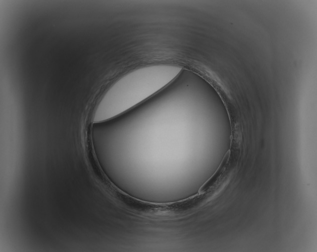 X0000101950589200807180704