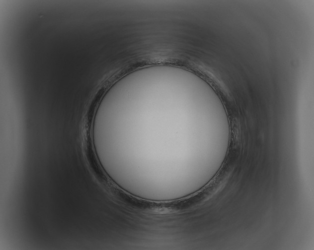 X0000101950590200807180704