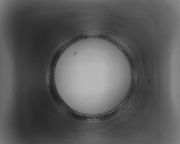 X0000101950591200807180704