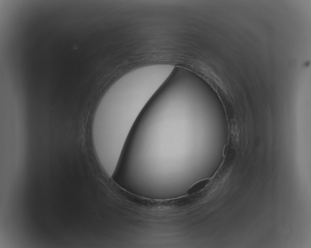 X0000101950593200807180704