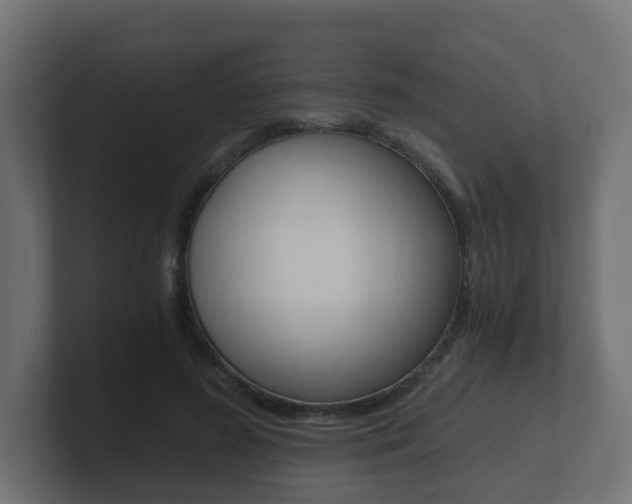 X0000101950596200807180704