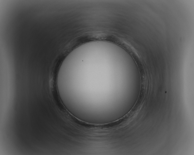 X0000101950597200807180704