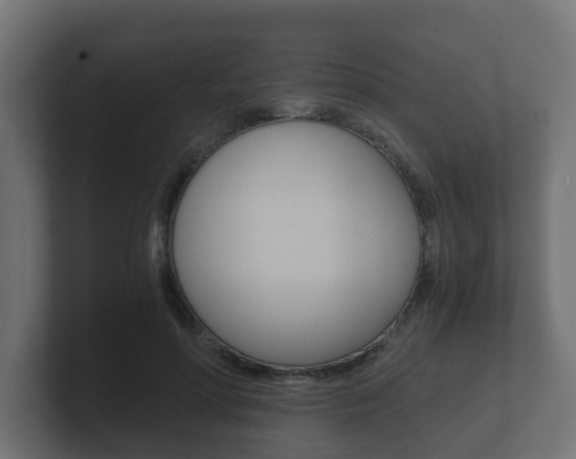 X0000101950598200807180704