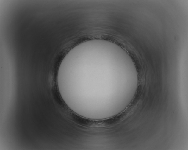 X0000101950599200807180704