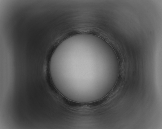 X0000101950600200807180704