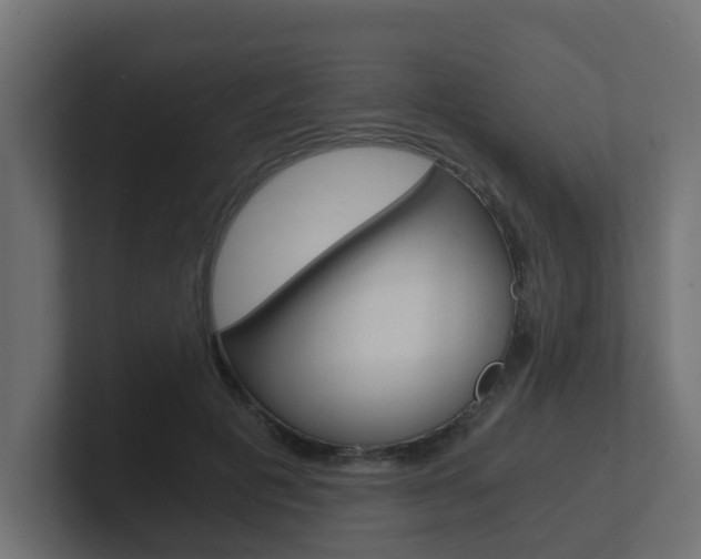 X0000101950601200807180704