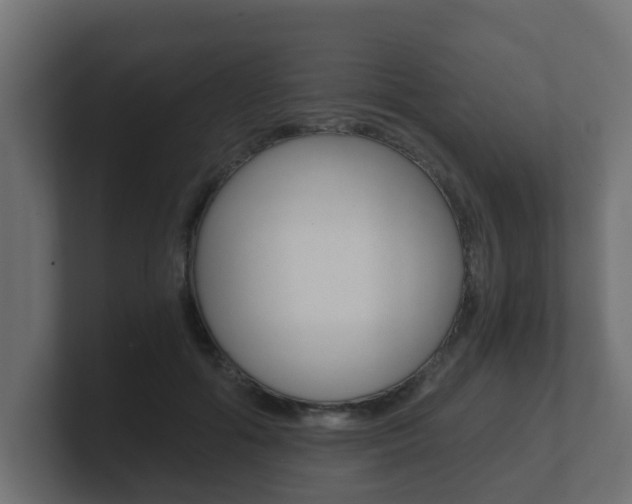 X0000101950602200807180704