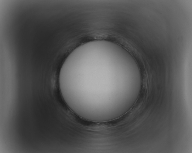 X0000101950604200807180704