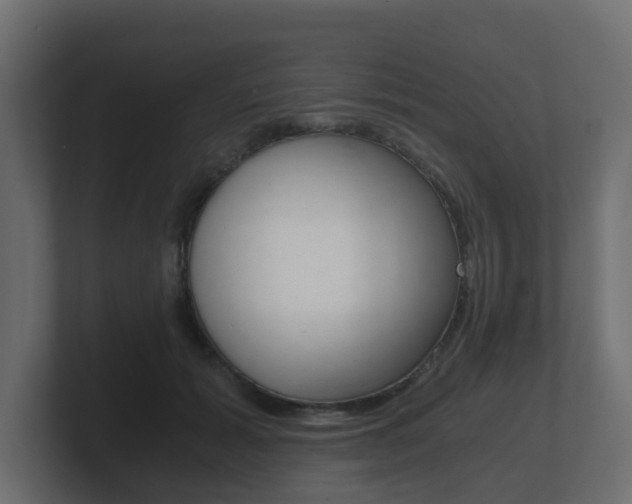 X0000101950605200807180704