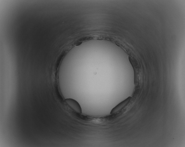 X0000101950611200807180704