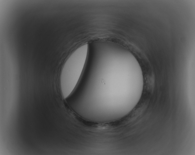 X0000101950612200807180704